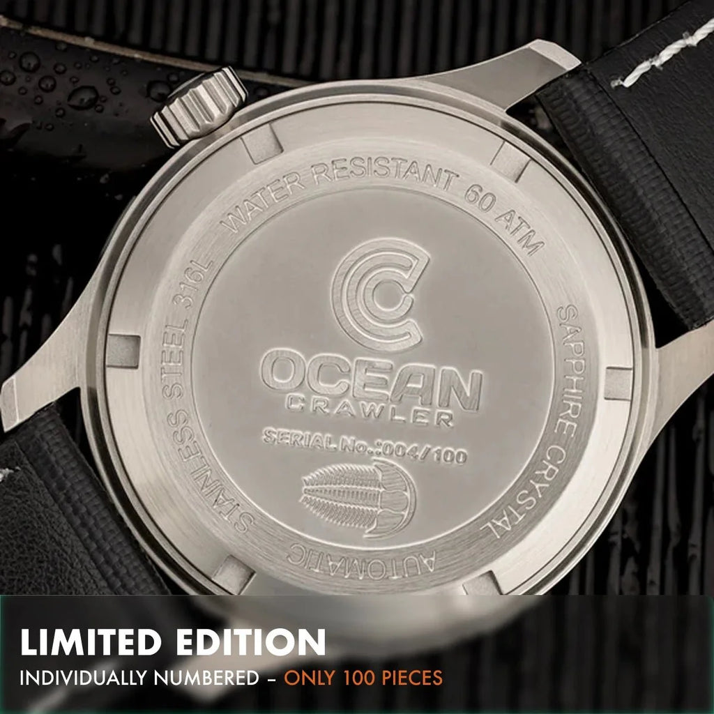 Dream Diver - Polar Ice Meteorite - Preorder