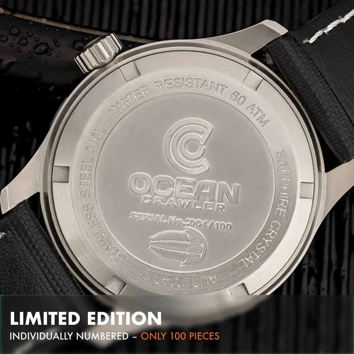 Dream Diver - Polar Ice Meteorite - Preorder