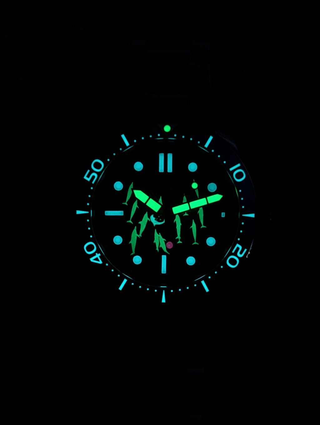 Spinnaker Croft Special Edition Dolphin Project Automatic Watch *New in Box*