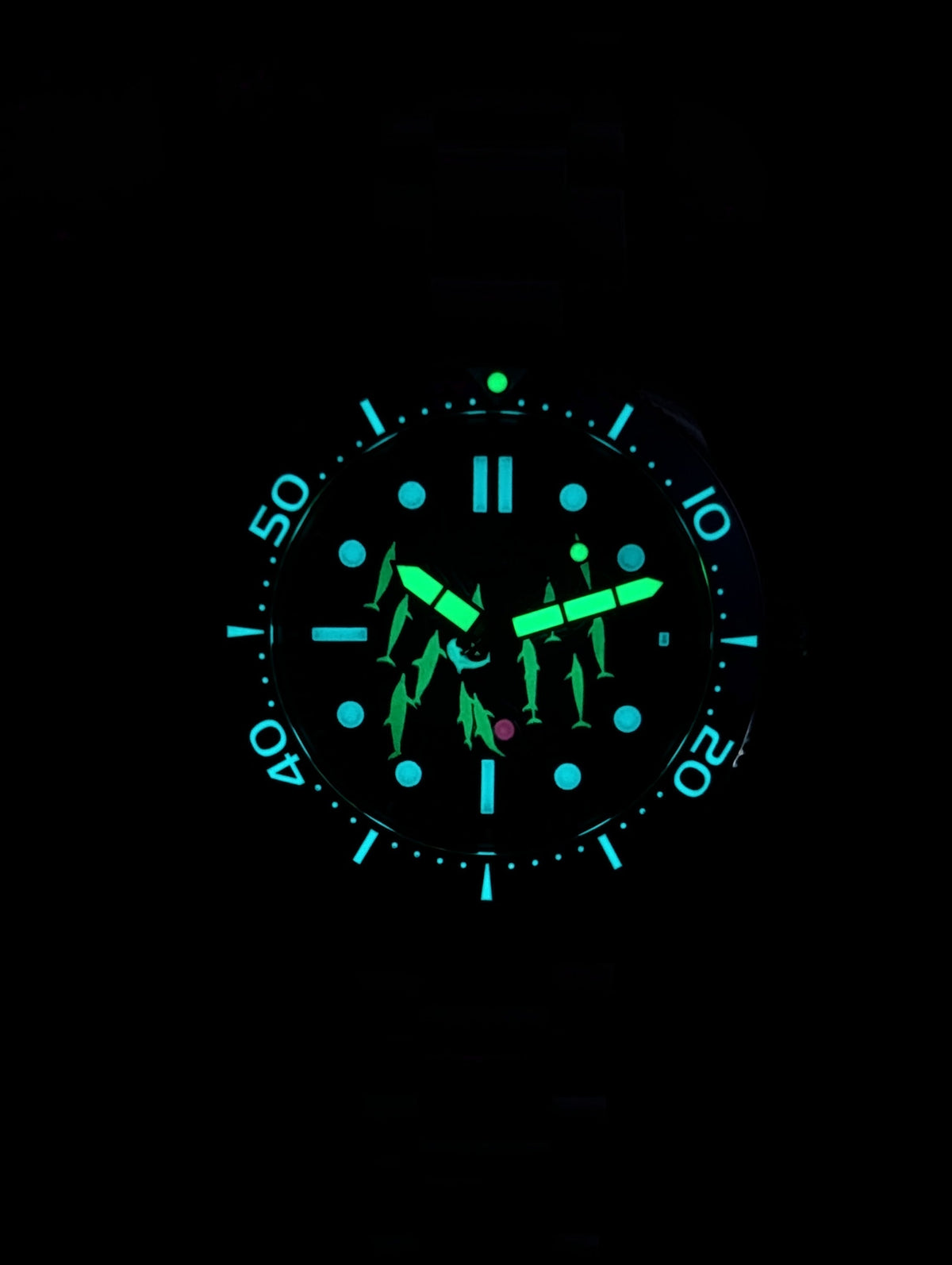 Spinnaker Croft Special Edition Dolphin Project Automatic Watch *New in Box*